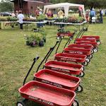 The Bluebonnet Master Gardeners held their annual plant sale in conjunction with the Spring Picnic - customers use little red wagons to take their plant treasures to their cars.